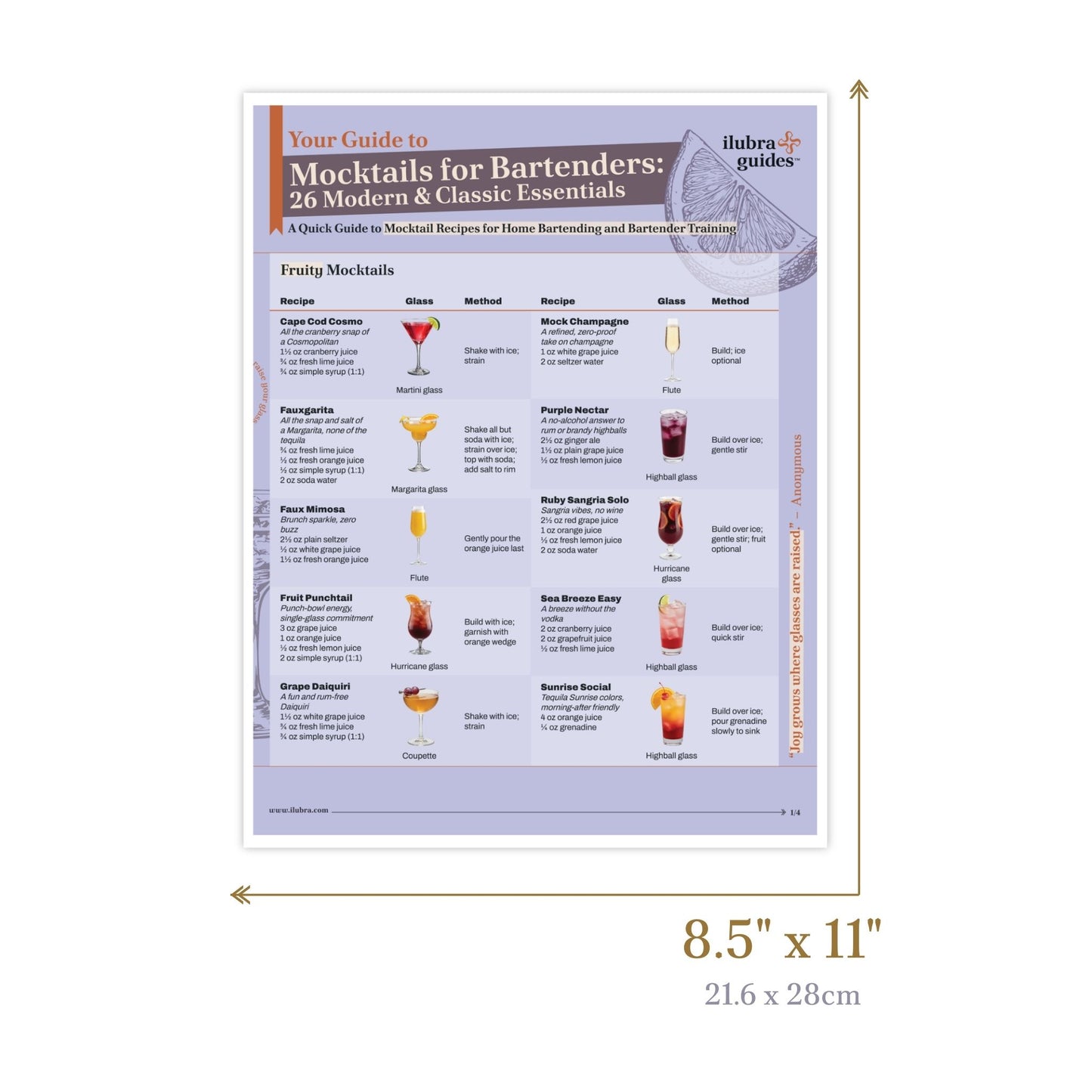 Page 1 and 8.5”x11” size of study guide called Mocktails Recipe Guide: Your At-a-Glance Companion.