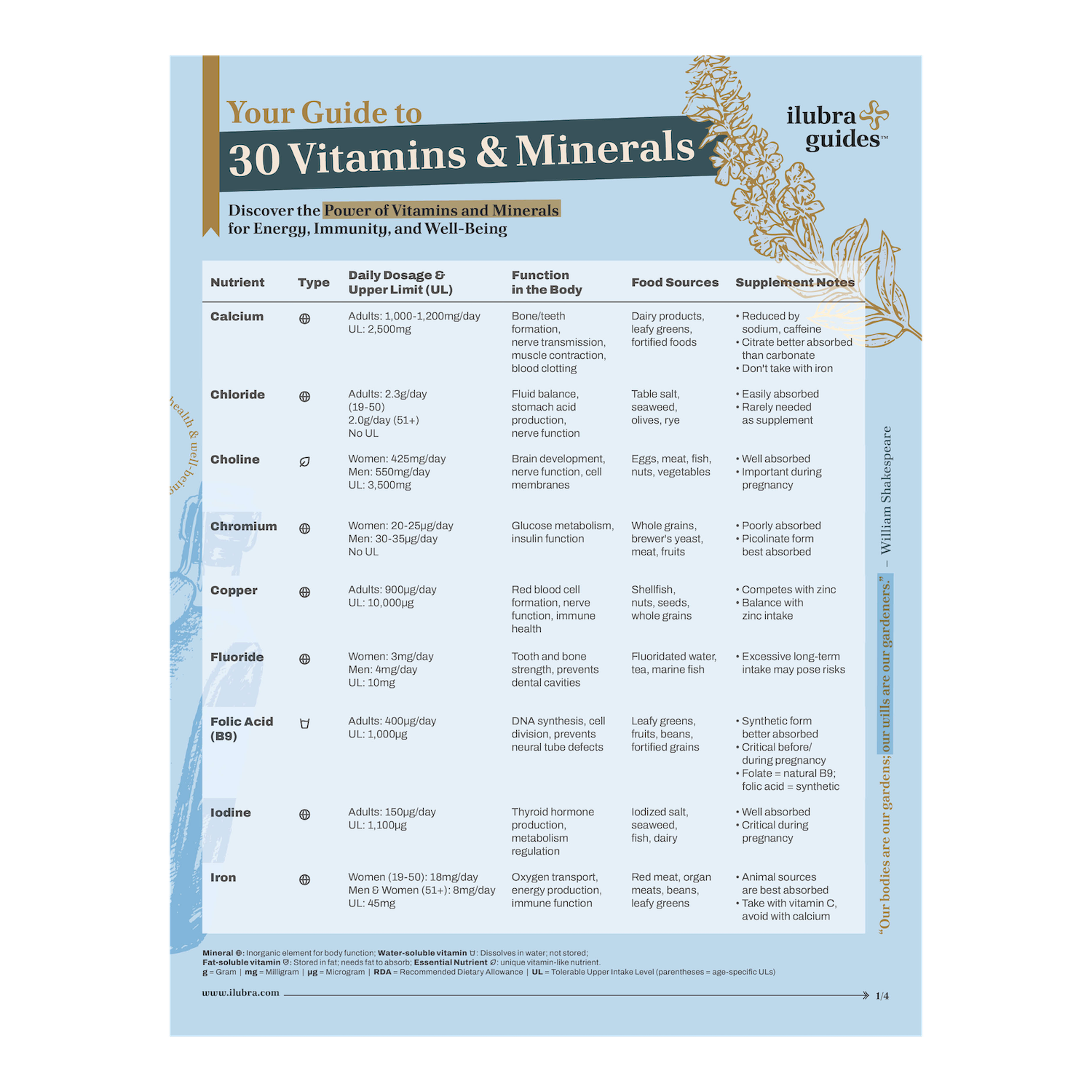 Vitamins & Minerals List: Your At-a-Glance Guide to 30 Essential Nutrients Vitamins and minerals list |Guide to 30 Vitamins & Minerals