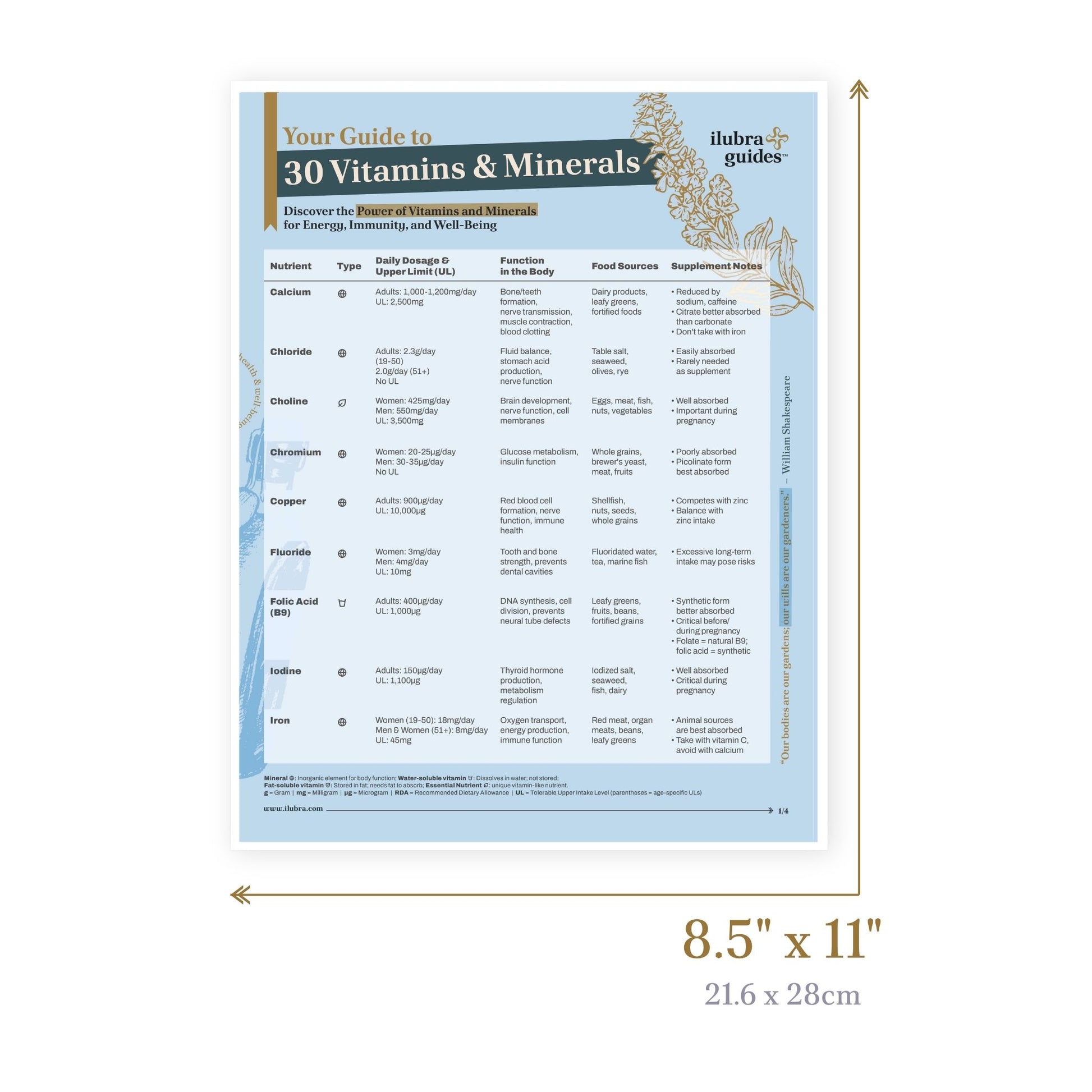 Page 1 and 8.5”x11” size of study guide called Vitamins & Minerals List: Your At-a-Glance Guide to 30 Essential Nutrients. Your Guide to 30 Vitamins & Minerals: Discover the Power of Vitamins and Minerals for Energy, Immunity, and Well-Being.
